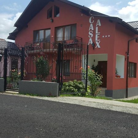 Hotel Vila Alex Călimăneşti Exterior foto