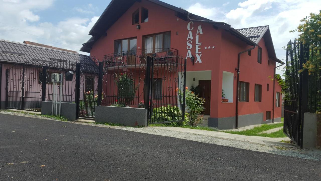 Hotel Vila Alex Călimăneşti Exterior foto