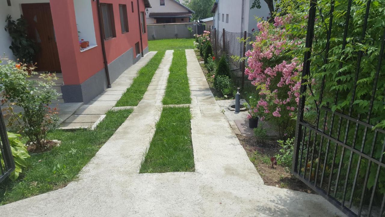 Hotel Vila Alex Călimăneşti Exterior foto