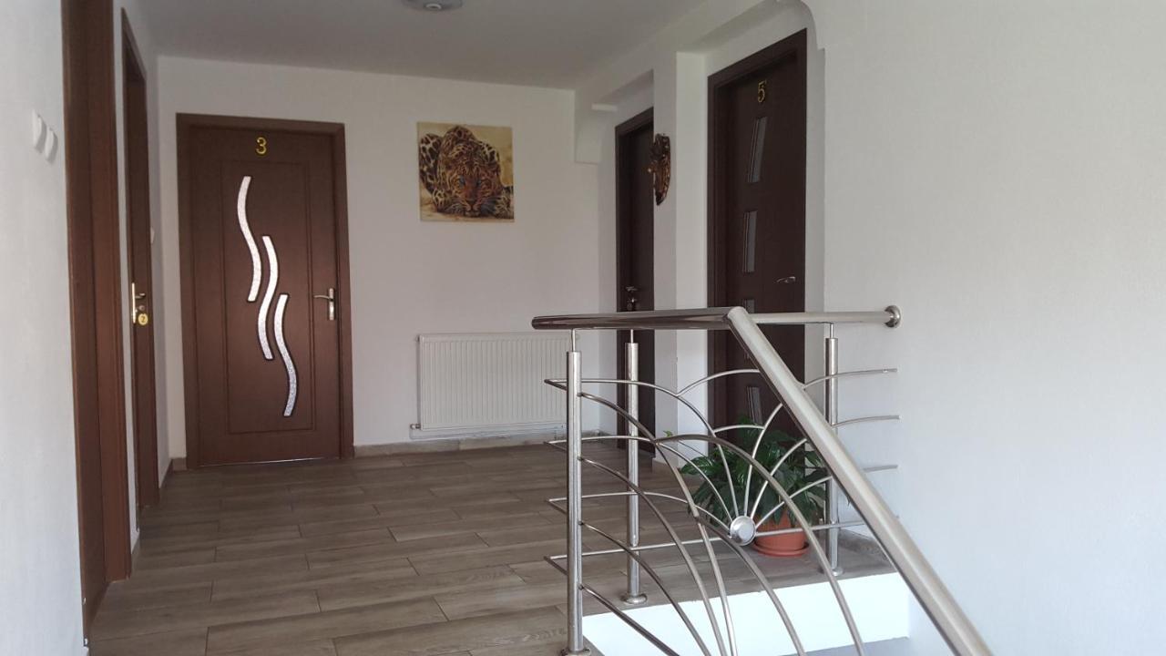 Hotel Vila Alex Călimăneşti Exterior foto