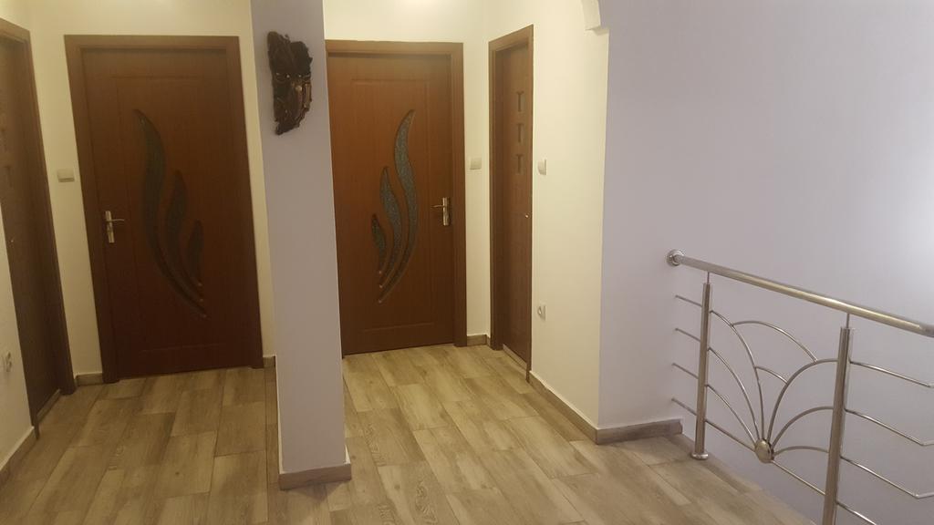 Hotel Vila Alex Călimăneşti Exterior foto
