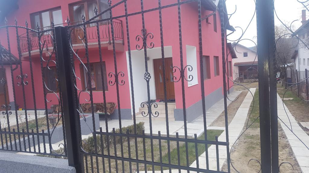Hotel Vila Alex Călimăneşti Exterior foto