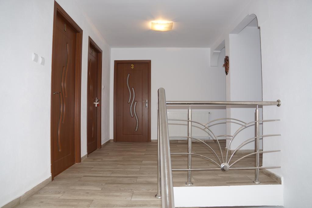 Hotel Vila Alex Călimăneşti Exterior foto
