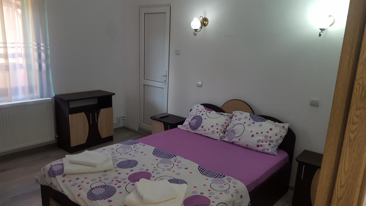 Hotel Vila Alex Călimăneşti Exterior foto