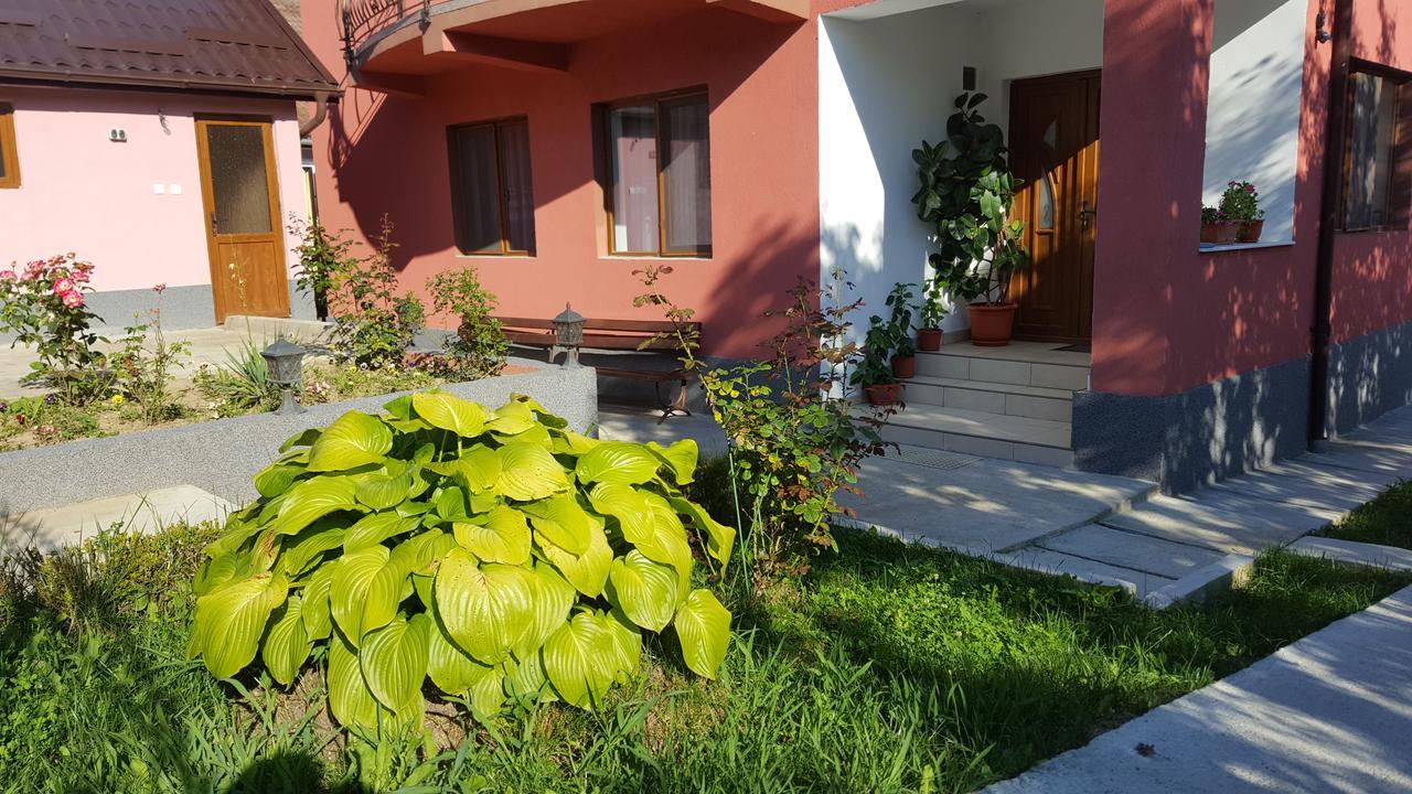 Hotel Vila Alex Călimăneşti Exterior foto