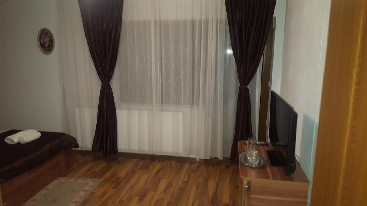 Hotel Vila Alex Călimăneşti Exterior foto